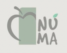 NUMA Logo